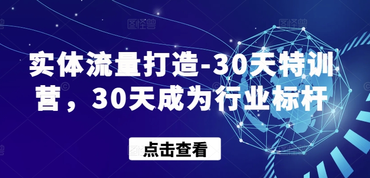 实体流量打造-30天特训营，30天成为行业标杆-坡途网络