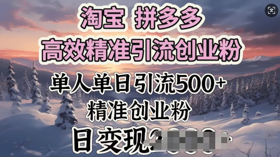 淘宝拼多多高效精准引流创业粉，单人单日引流500+创业粉，日变现多张-坡途网络