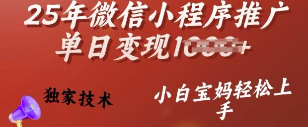 25年微信小程序推广单日变现多张，独家技术，小白宝妈轻松上手【揭秘】-坡途网络