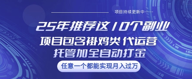 25年推荐这10个副业项目包含褂鸡类、代运营托管类、全自动打金类【揭秘】-坡途网络