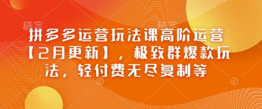 拼多多运营玩法课高阶运营【2月更新】，极致群爆款玩法，轻付费无尽复制等-坡途网络