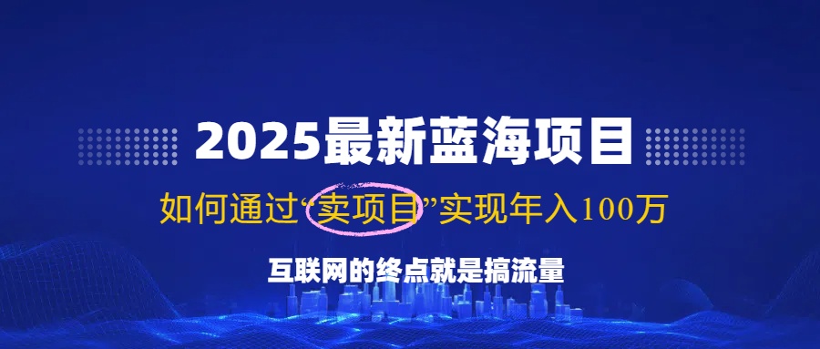 （14305期）2025最新蓝海项目，零门槛轻松复制，月入10万+，新手也能操作！-坡途网络